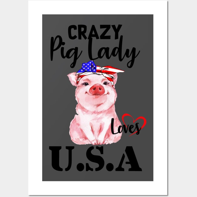 Pig Lady American. Wall Art by tonydale